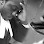 Christopher Uwagboe Barrister & Solicitor